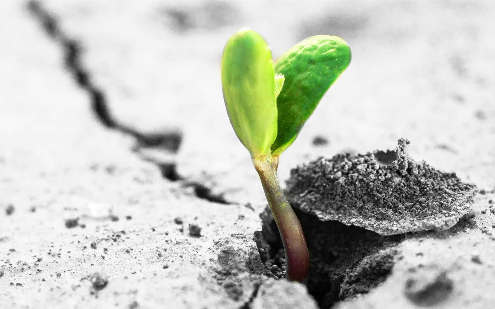 永續環境.在地深耕